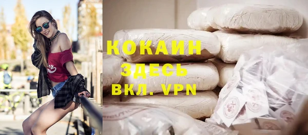 стаф Белокуриха