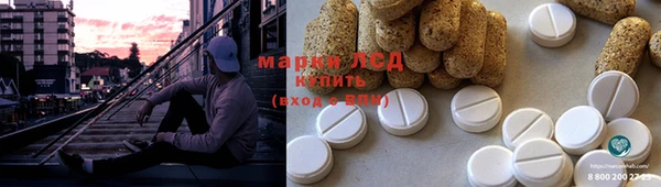 стаф Белокуриха