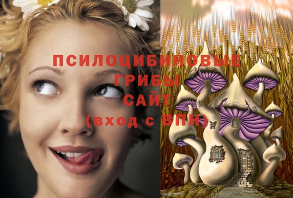 PSILOCYBIN Белоозёрский