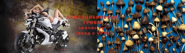 PSILOCYBIN Белоозёрский