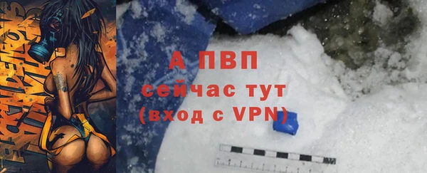 стаф Белокуриха