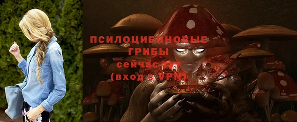 стаф Белокуриха