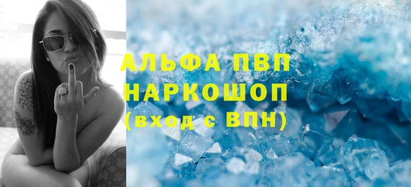 стаф Белокуриха